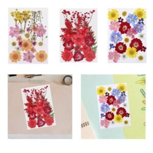 Real Natural Dried Pressed Flower Mix